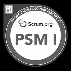 PSM Logo